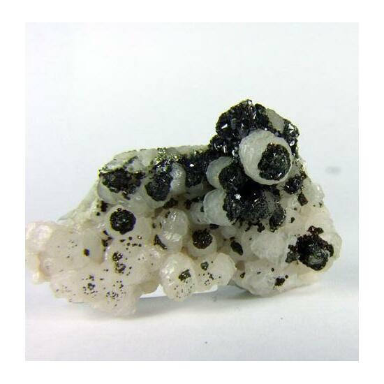 Pyrite On Calcite