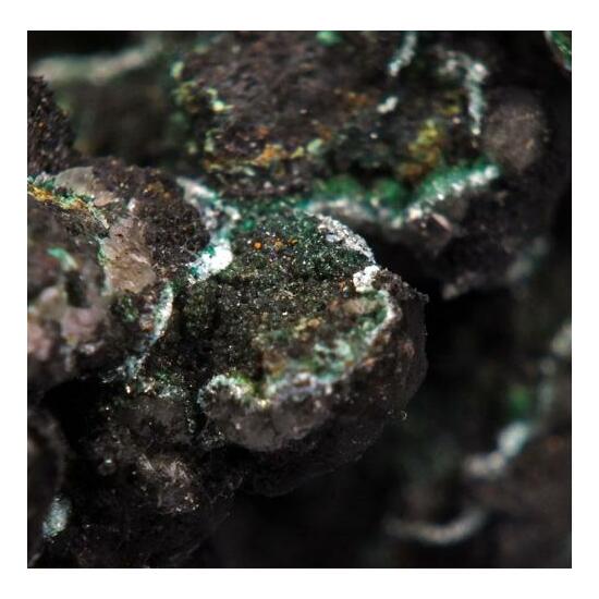 Serpierite On Tenorite & Cuprite Psm Copper