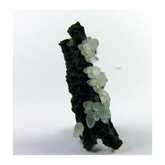 Smithsonite On Coronadite