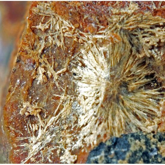 Smolyaninovite Psm Erythrite