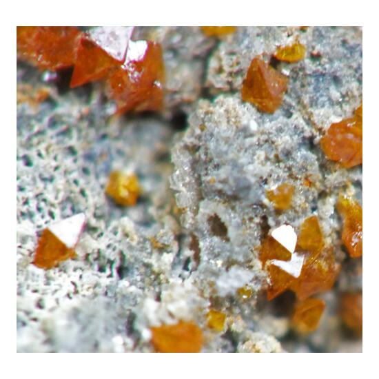 Wulfenite