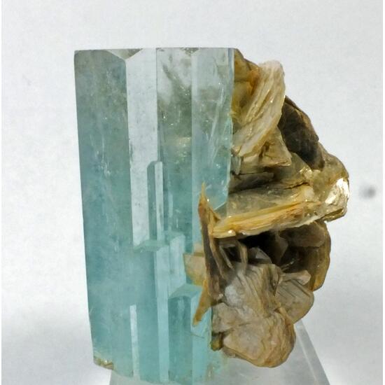 Aquamarine & Muscovite