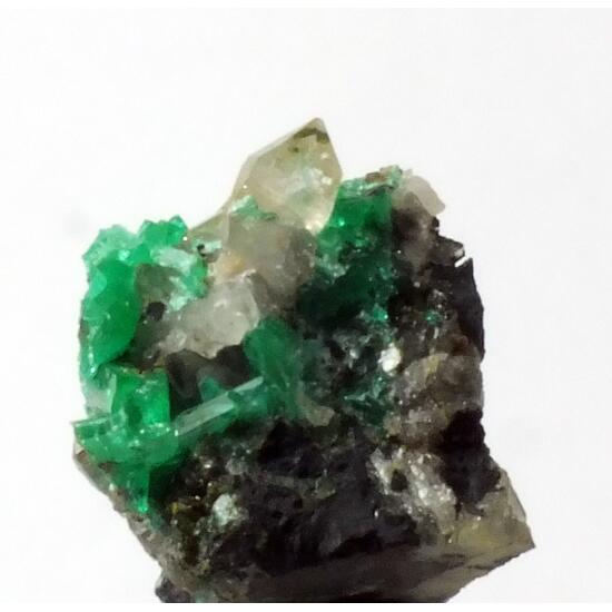 Schultenite Zincolivenite & Cuprian Adamite