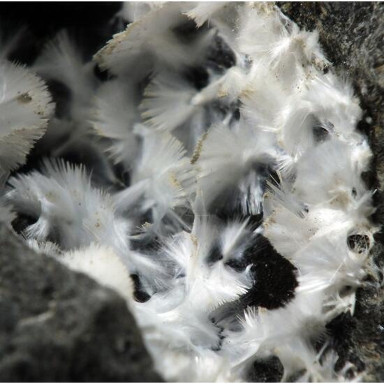 Thomsonite-Ca