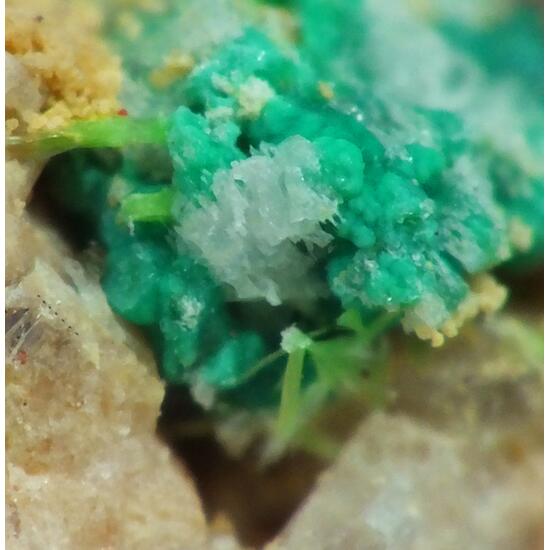 Ulrichite On Turquoise