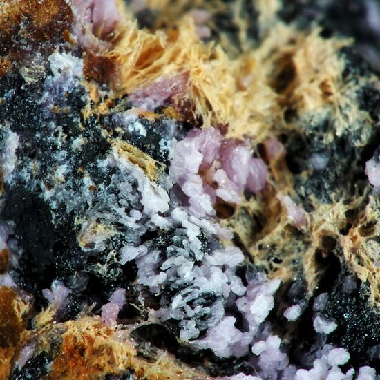 Mansfieldite & Smolyaninovite Psm Erythrite