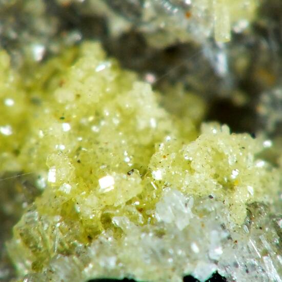 Cerussite & Pyromorphite On Coronadite