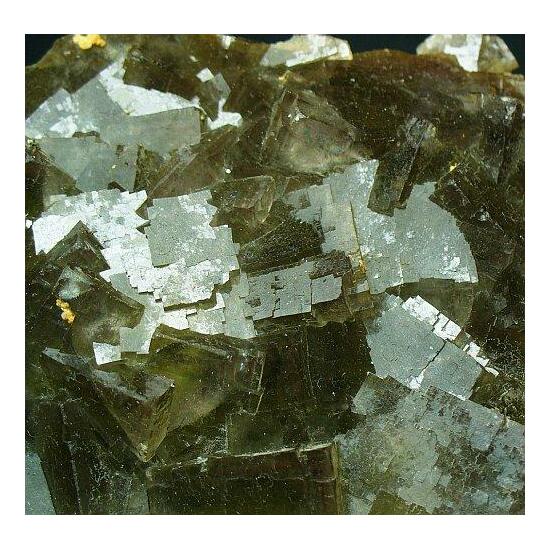 Fluorite & Pyrite