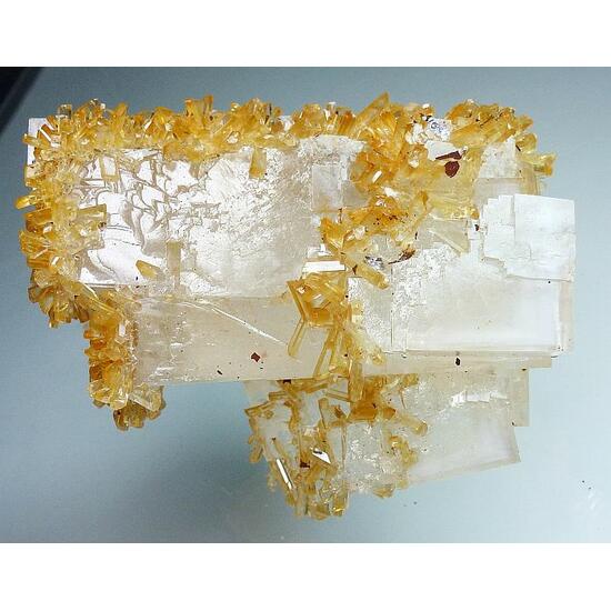 Halite & Gypsum