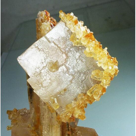 Halite & Gypsum