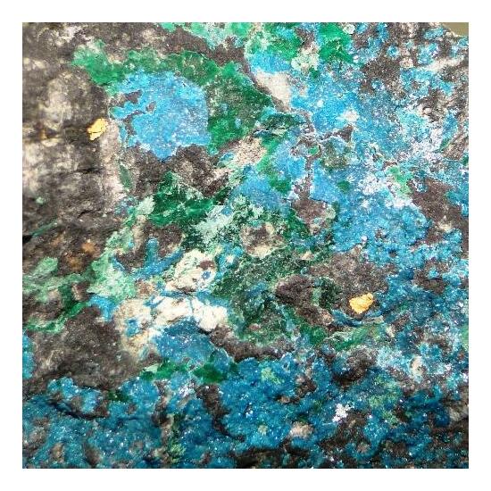 Boleite Gold & Atacamite