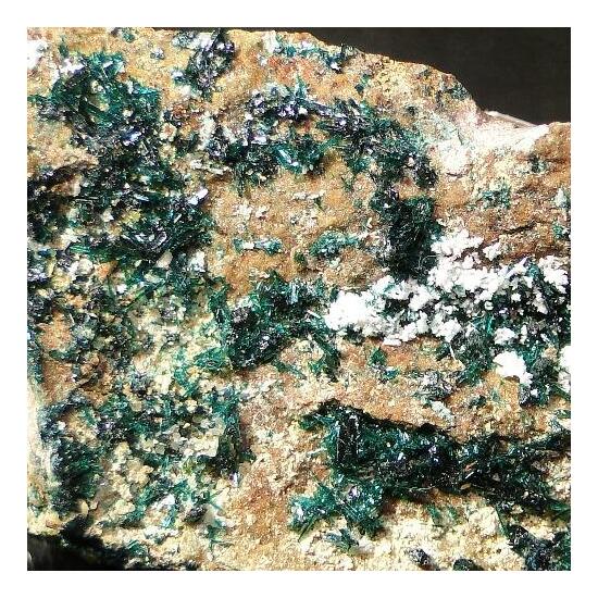 Paratacamite