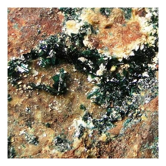 Anatacamite