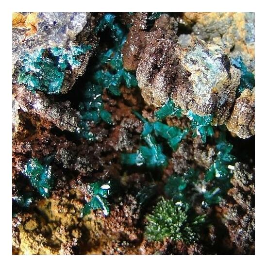 Libethenite & Pseudomalachite