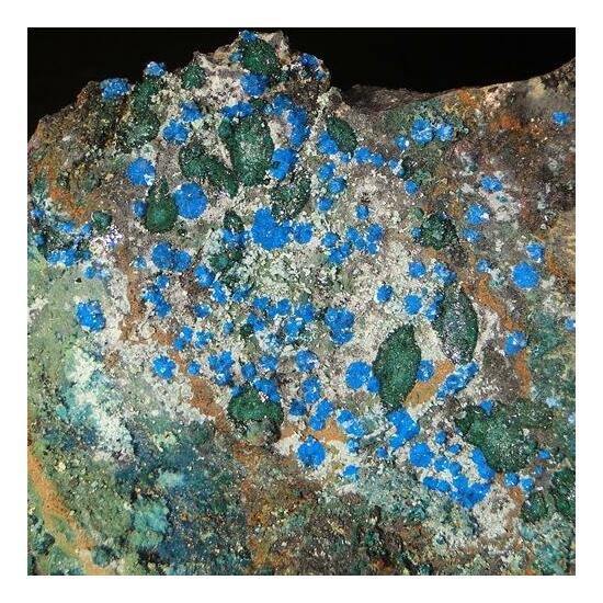 Sampleite & Atacamite