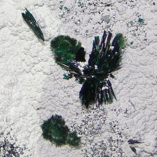 Atacamite Libethenite & Pseudomalachite