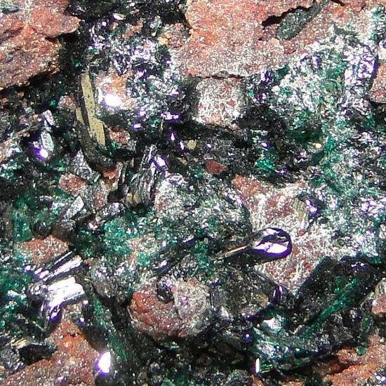 Paratacamite