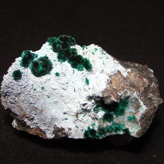 Brochantite & Chalcoalumite