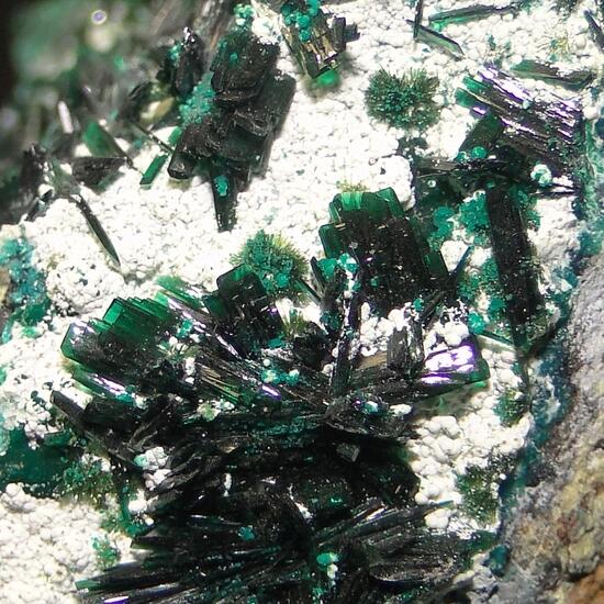 Atacamite & Libethenite