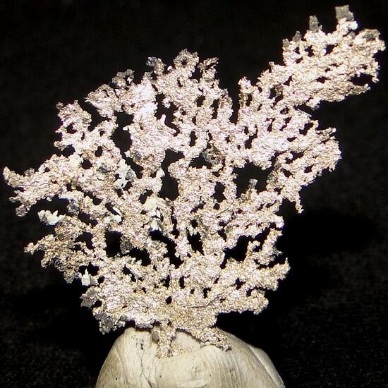 Native Silver Eugenite & Luanheite