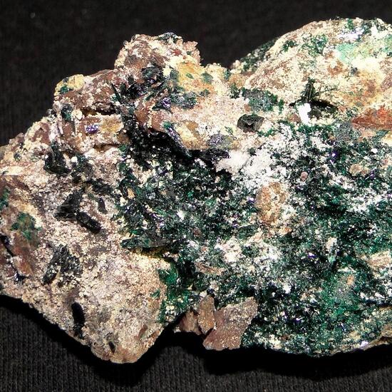 Anatacamite & Paratacamite