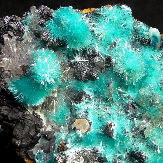 Aurichalcite & Hemimorphite