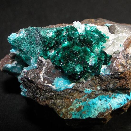 e rocks mineral auctions