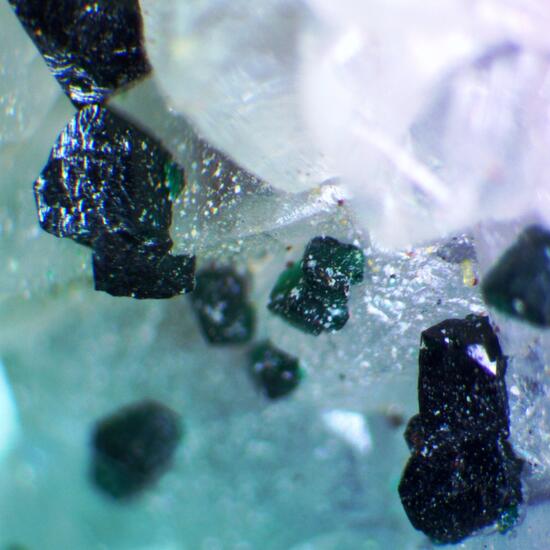 Clinoatacamite & Chalcedony