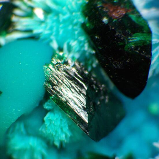 Chrysocolla & Brochantite