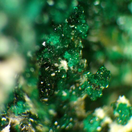 Herbertsmithite