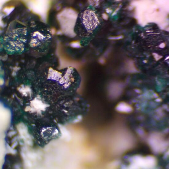 Herbertsmithite