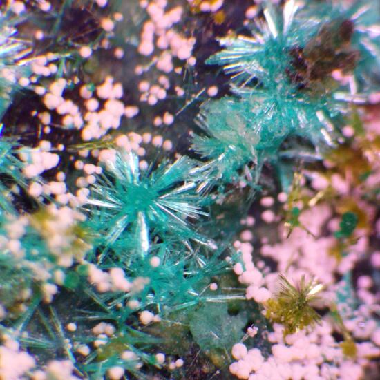 Dioptase & Atacamite