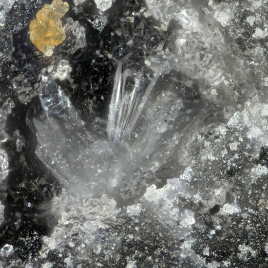 Rosenbergite