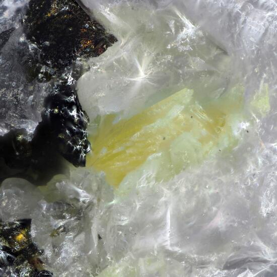 Ursilite