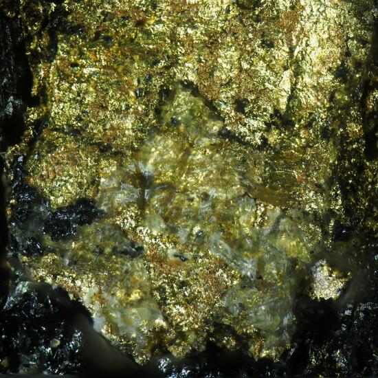 Gold On Uraninite