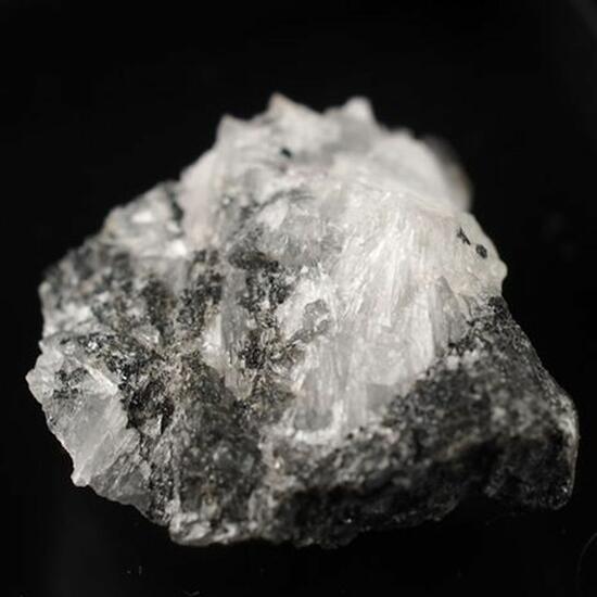 Priderite