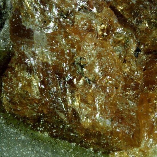 Siudaite