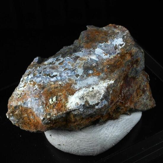 Znucalite