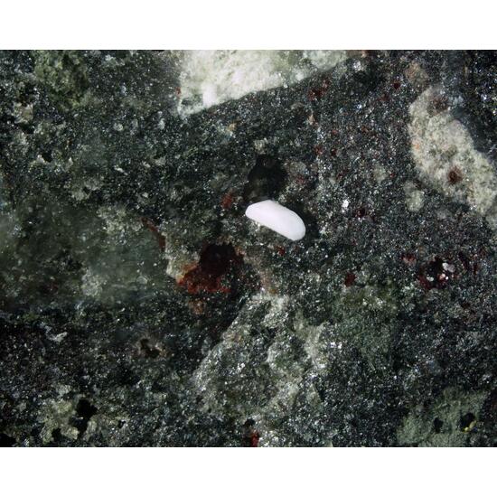 Shannonite