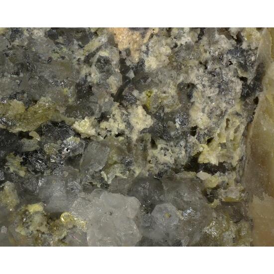 Chekhovichite