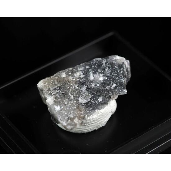 Filipstadite