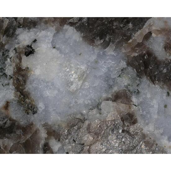 Vishnevite