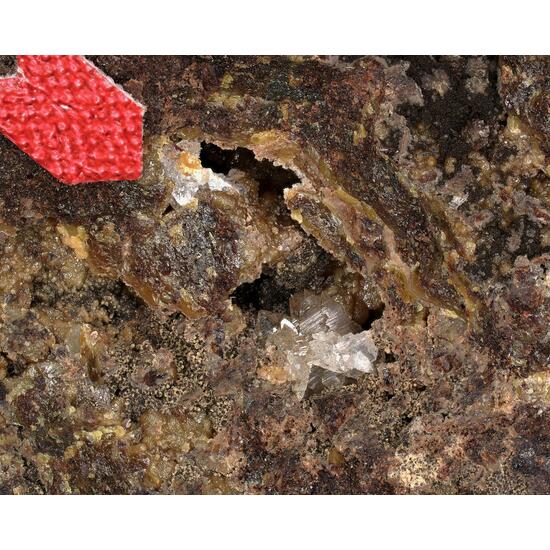 Brandtite