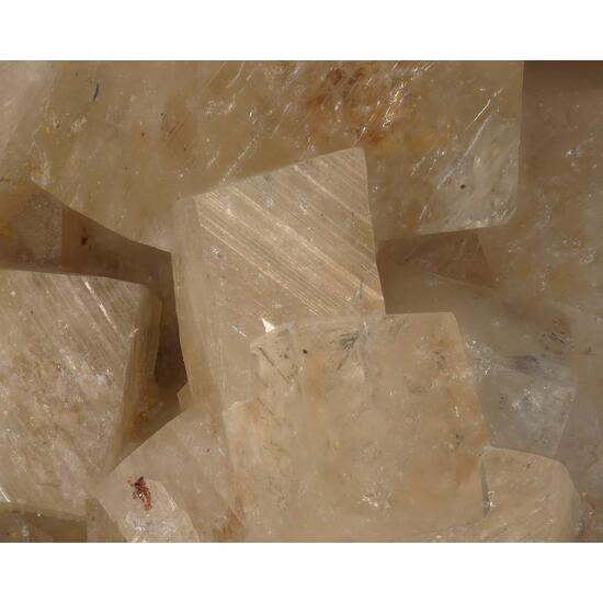 Woodhouseite