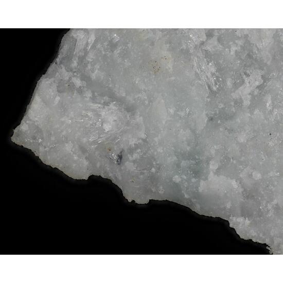 Rengeite