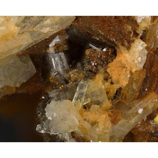 Hedyphane