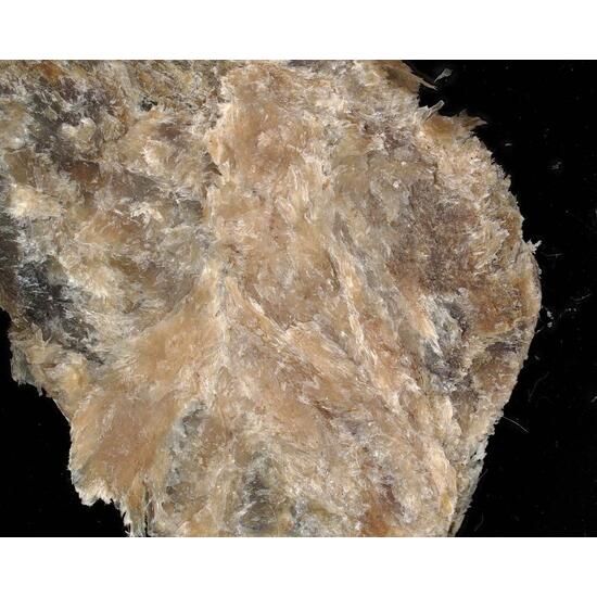 Eveslogite