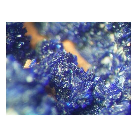 Azurite On Dolomite