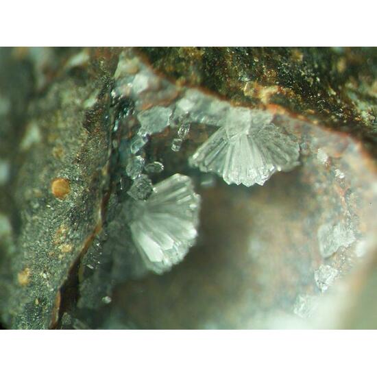 Phillipsite