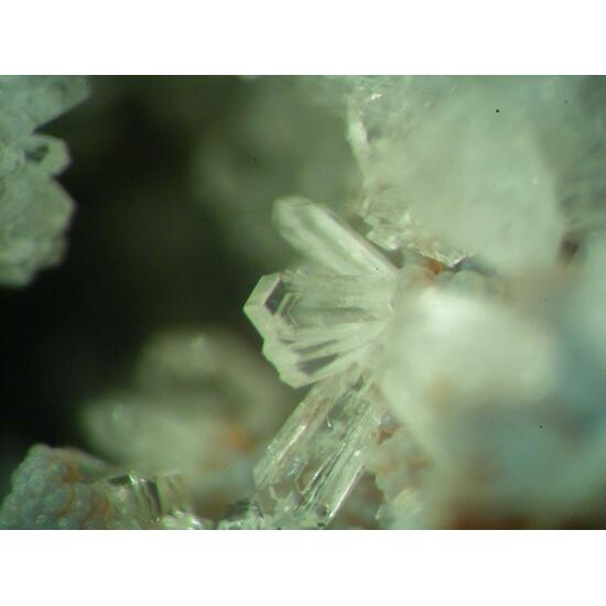 Phillipsite